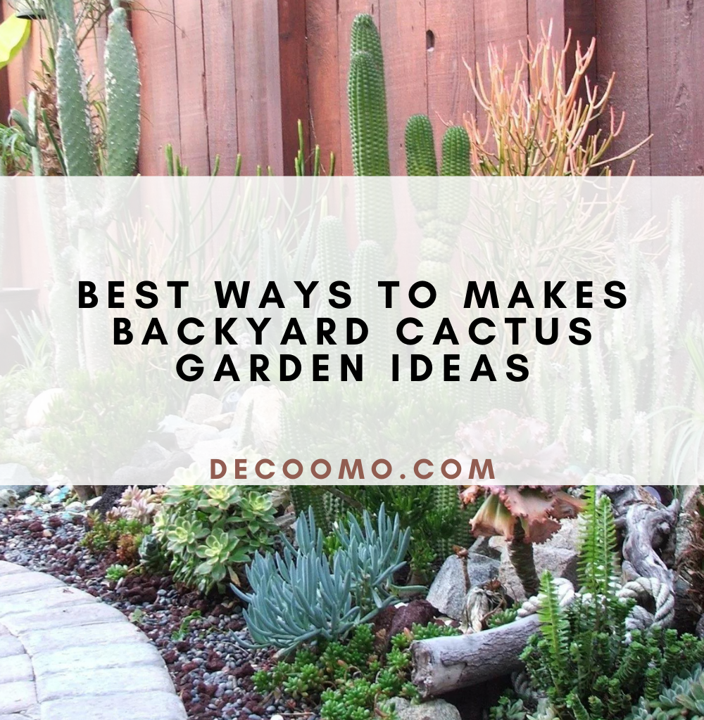 Best Ways To Makes Backyard Cactus Garden Ideas